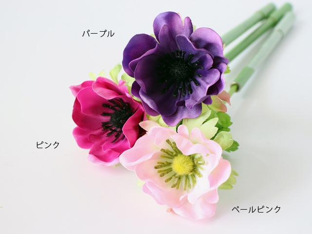 bonboog �ܥ��˥���ڥ󡡥��ͥ�ͥڥ�