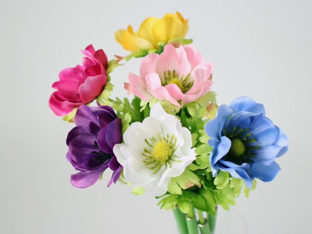 bonboog �ܥ��˥���ڥ󡡥��ͥ�ͥڥ�