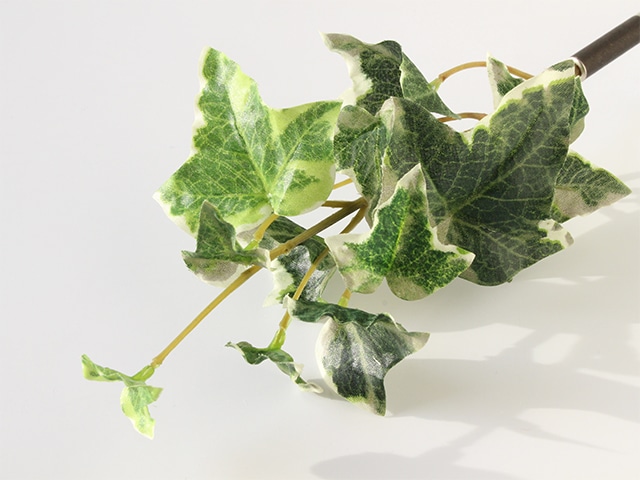 bonboog �ܥ��˥���ڥ� ���꡼�󥷥꡼�� �����ӡ�