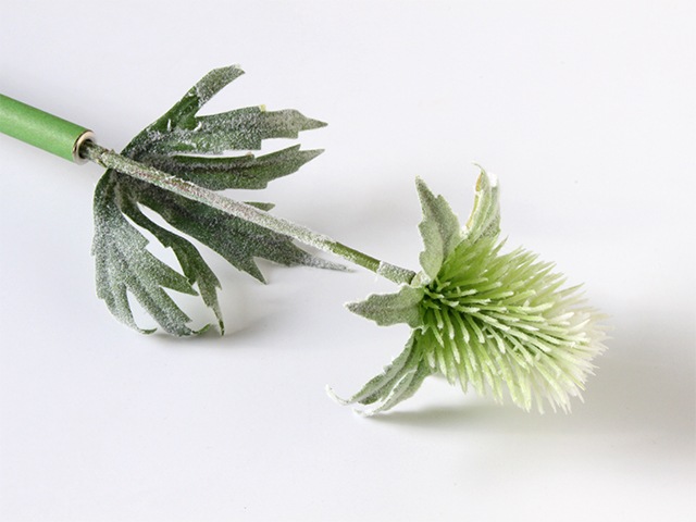 bonboog �ܥ��˥���ڥ� ���꡼�󥷥꡼�� ������