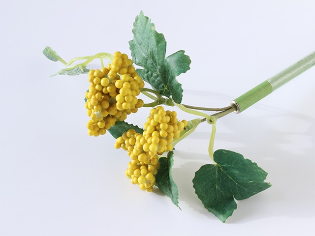 bonboog �ܥ��˥���ڥ� ���꡼�󥷥꡼�� �ʥ�����٥꡼