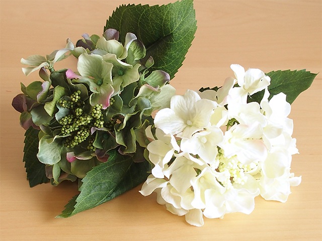 bonboog �ܥ��˥���ڥ� ����������L