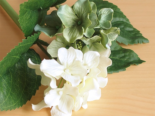 bonboog �ܥ��˥���ڥ� ����������S