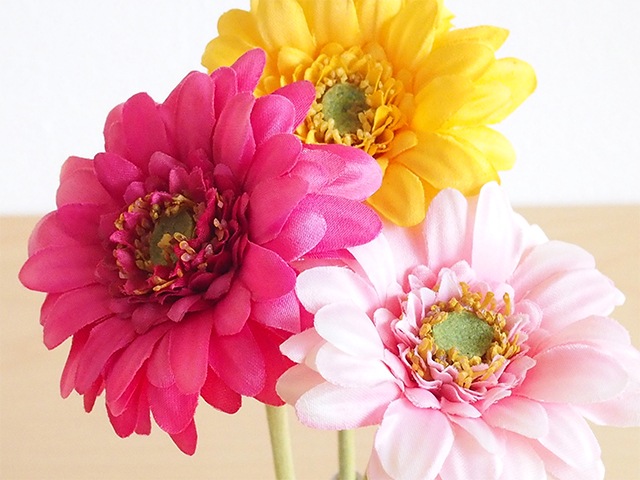 bonboog �ܥ��˥���ڥ� �����٥�