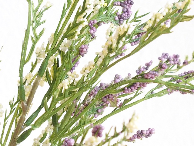 bonboog �ܥ��˥���ڥ� ���饹