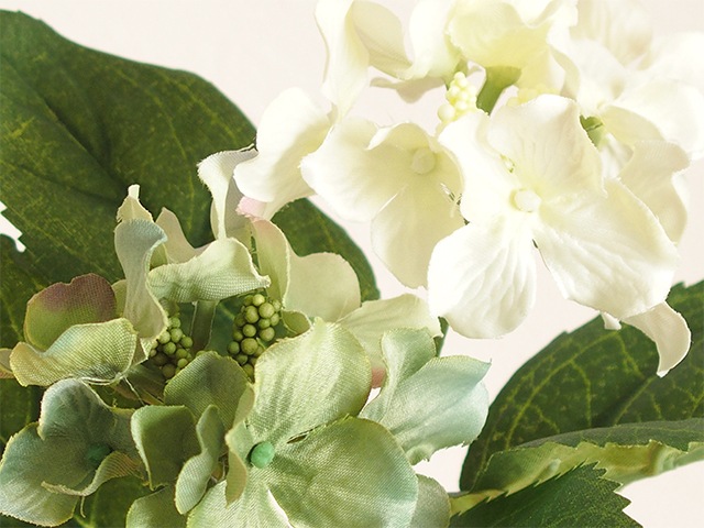 bonboog �ܥ��˥���ڥ� ����������S