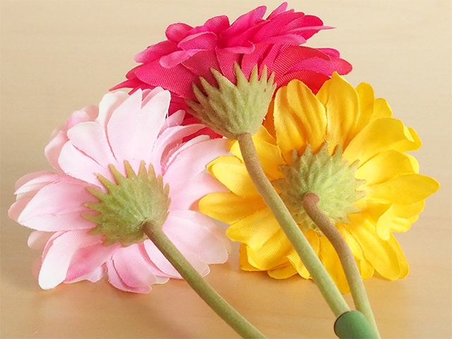 bonboog �ܥ��˥���ڥ� �����٥�