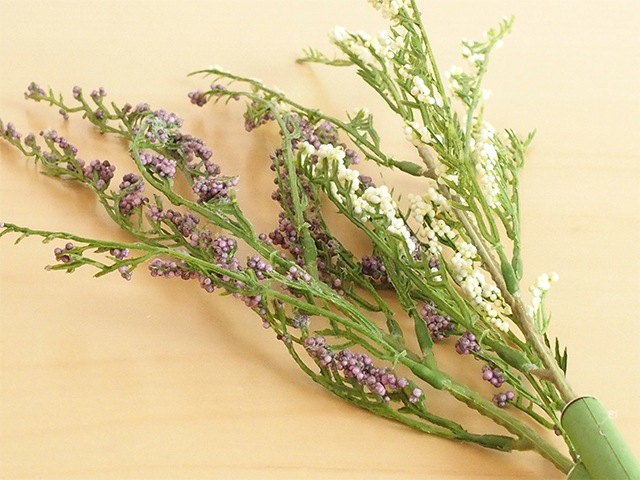 bonboog �ܥ��˥���ڥ� ���饹