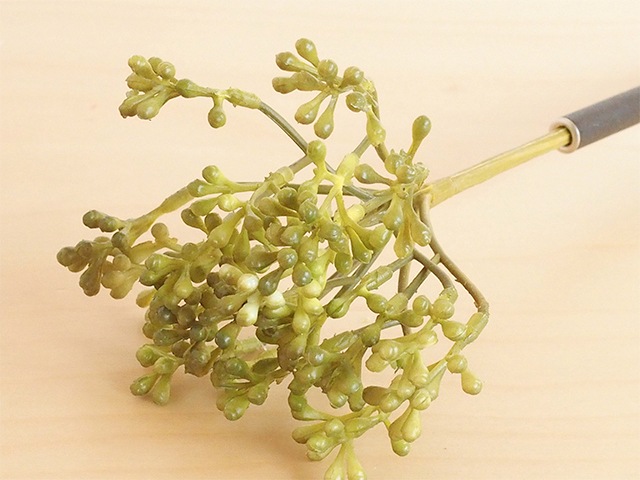 bonboog �ܥ��˥���ڥ� ���꡼�󥷥꡼�� �����