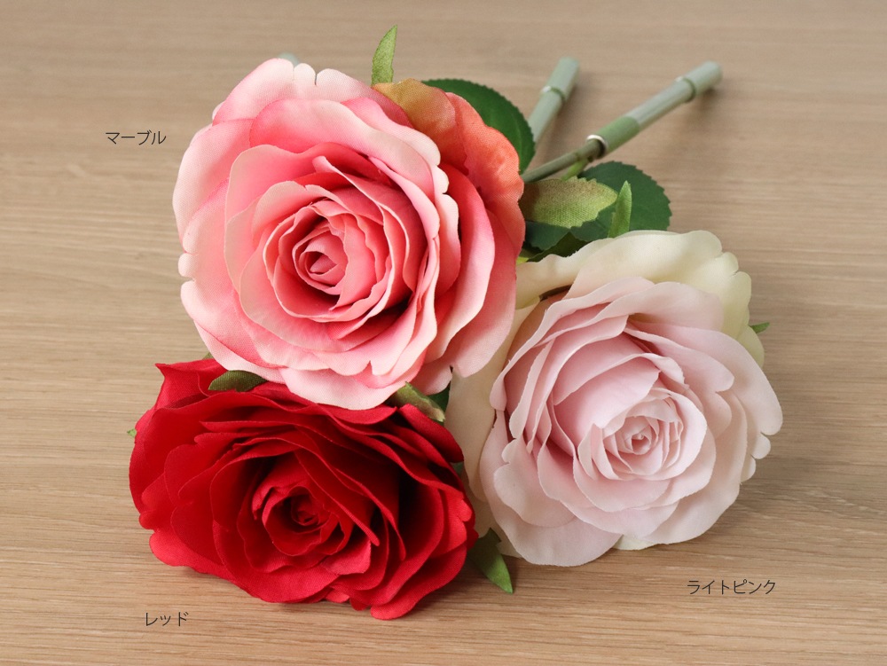 bonboog �ܥ��˥���ڥ� ������������