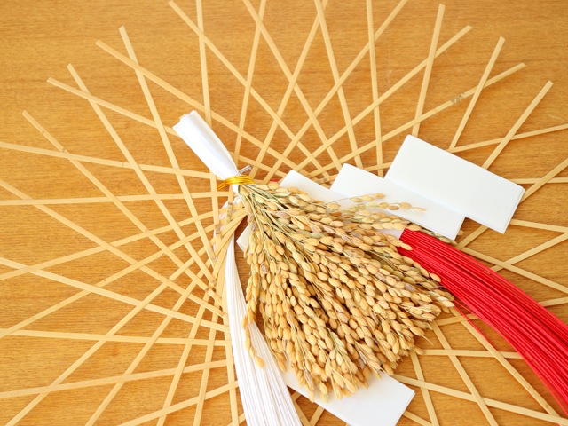 ��Ĺ㷾��� �ظ̿������ S ��