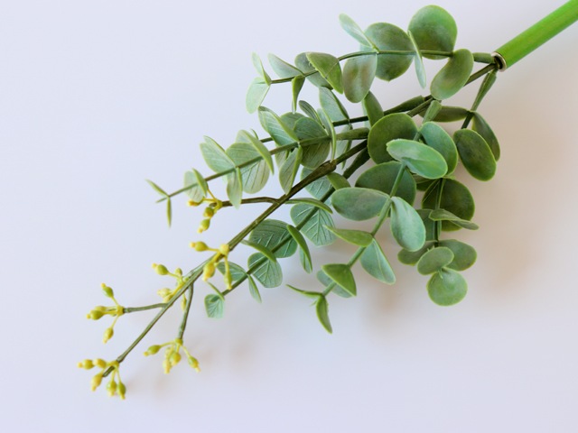 bonboog �ܥ��˥���ڥ� ���꡼�󥷥꡼�� ���ץ饦�ȥ桼����