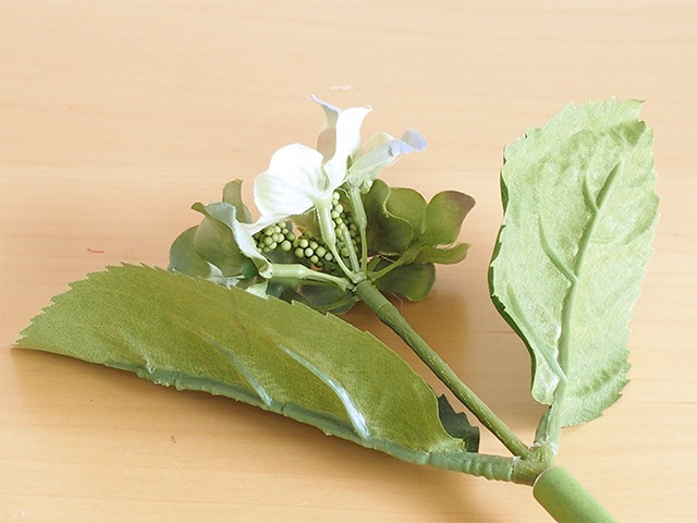 bonboog �ܥ��˥���ڥ� ����������S