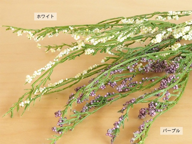 bonboog �ܥ��˥���ڥ� ���饹