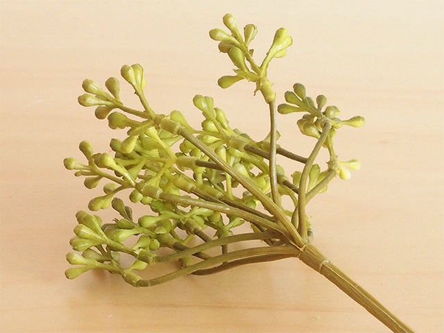 bonboog �ܥ��˥���ڥ� ���꡼�󥷥꡼�� �����