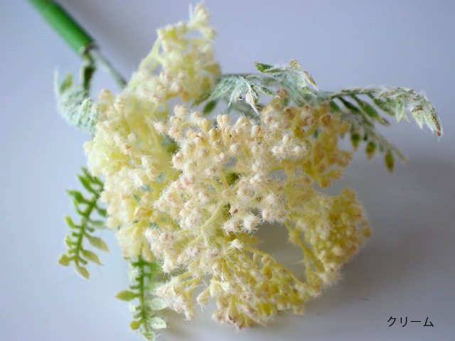 bonboog �ܥ��˥���ڥ� �����쥢