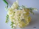 bonboog �ܥ��˥���ڥ� �����쥢