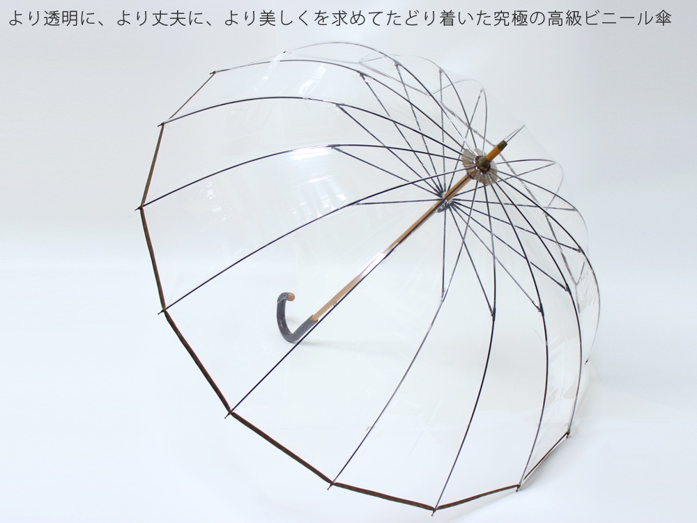 �ۥ磻�ȥ����� �ӥˡ��뻱 ���ơ���16��