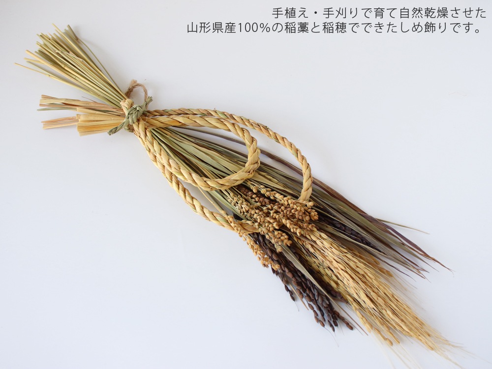 ������ʡ������Ƥ��� ������� ������滰�ʡʤۤ����夤�ʤۤ�������