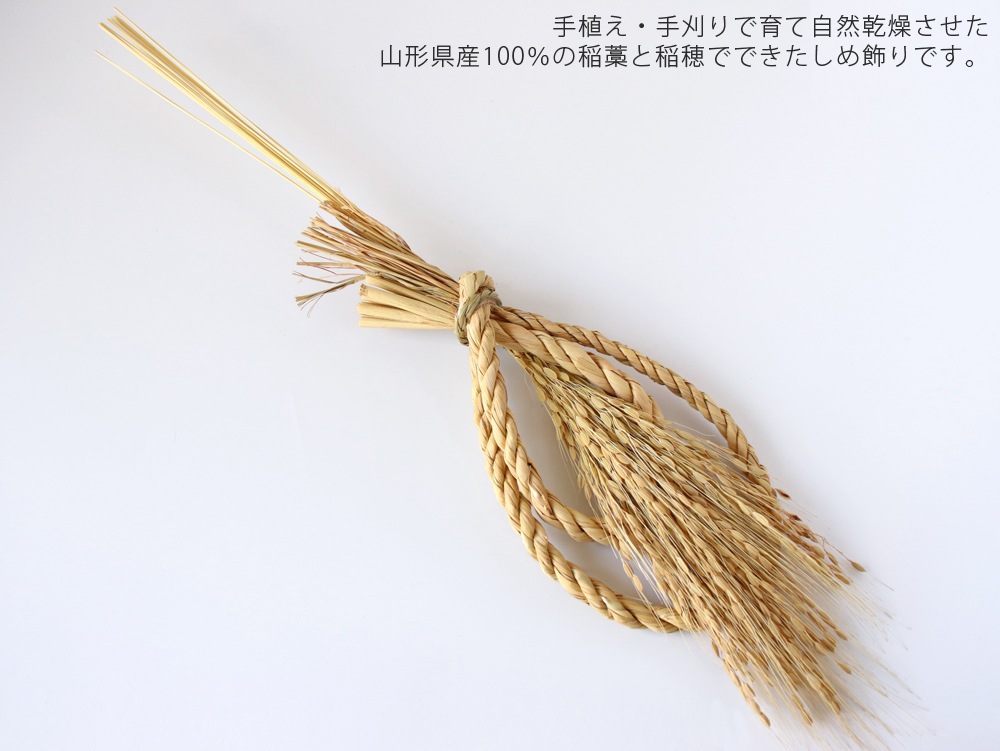 ������ʡ������Ƥ��� ������� ������������ʤۤ����夢���ޤ�����ۡ�