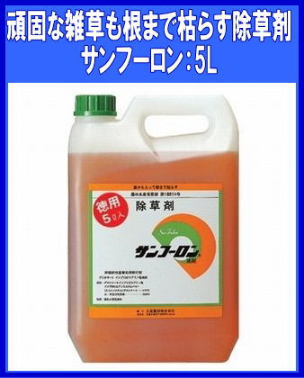 ���ݎ̎��ێ� 5L