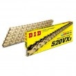 520VX3-100FB GOLD (�ڰ������؎��̎ߎ����̎�)