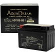 ADTX9-BSĎގ؎ GOLD 2؎ʎގÎ؎