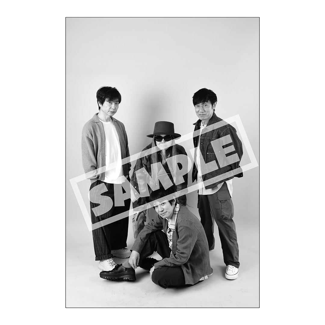 はじめてのプロマイド