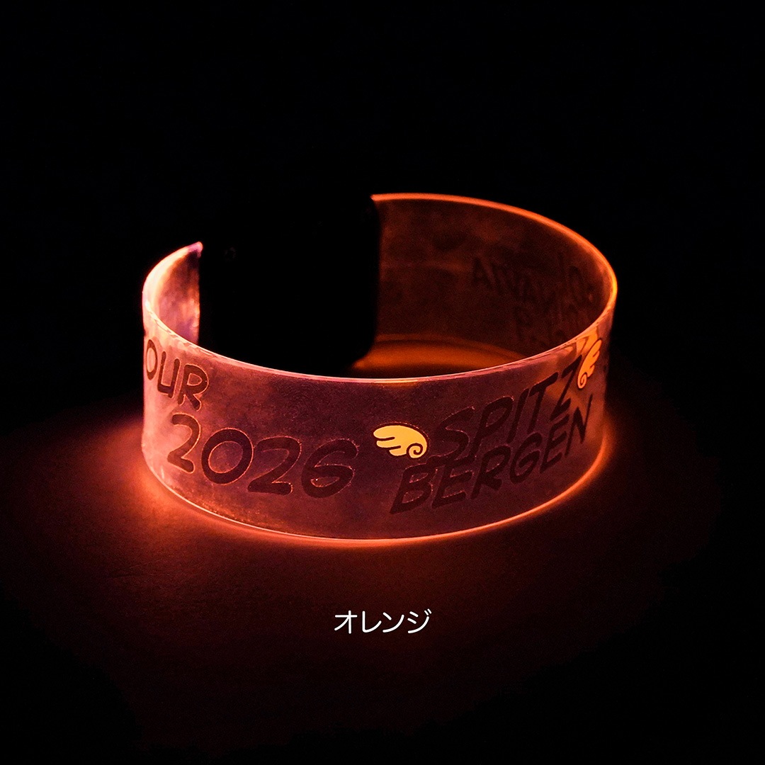 何色かな？LEDバングル