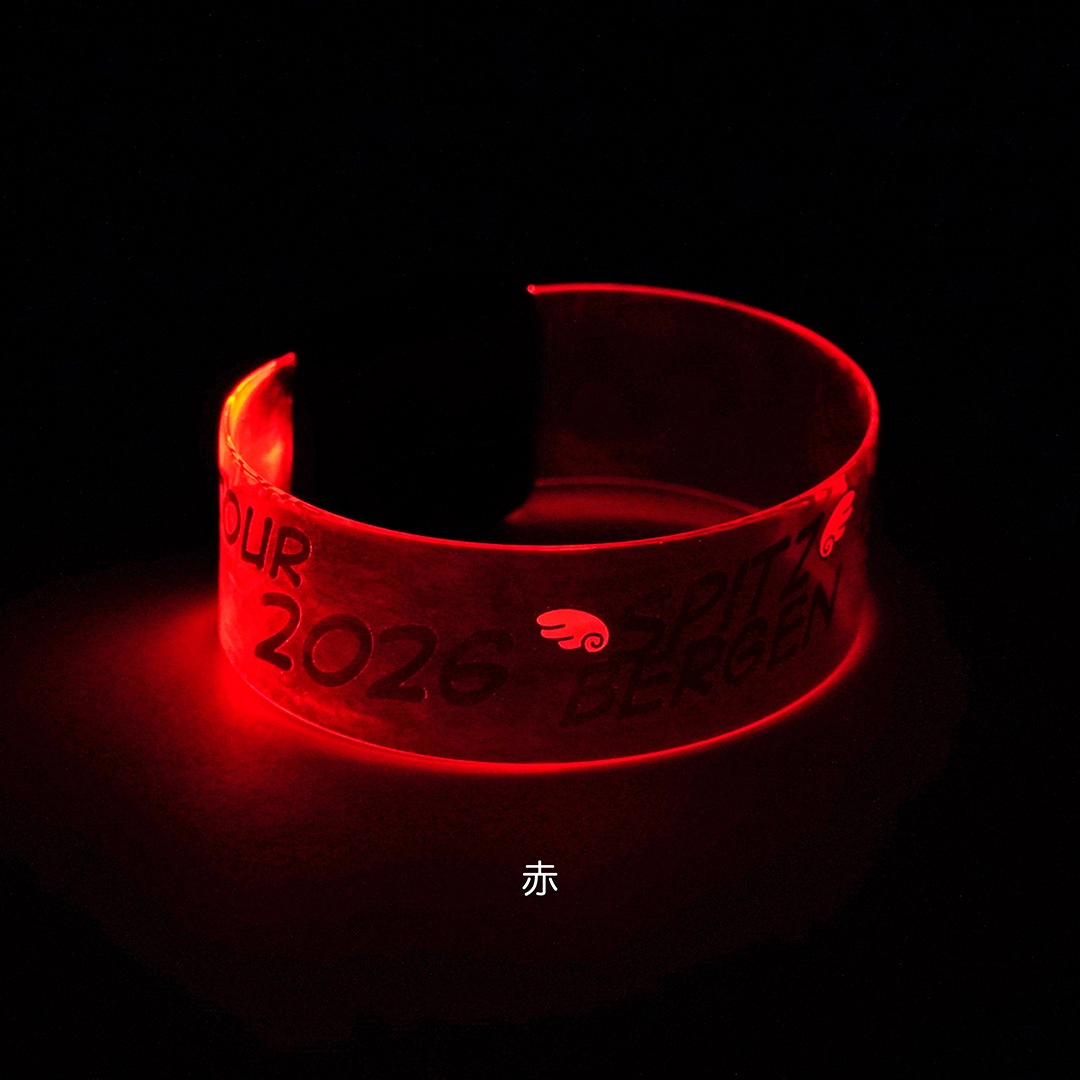 何色かな？LEDバングル