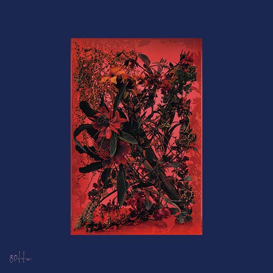 Ganges-Fox / CD [8otto]