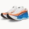 PUMA/�ס��� �ǥ����������� �˥ȥ� ���꡼�� 3 EKIDEN��313420-01��