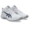 asics/�����å��� ���� �ա��� V17 �������ȥ�磻�ɡ�1063A097-104��