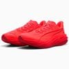 ��10%�ݥ���ȴԸ�����PUMA/�ס��� �ǥ����������� �ԥ奢 �˥ȥ���313904-10��