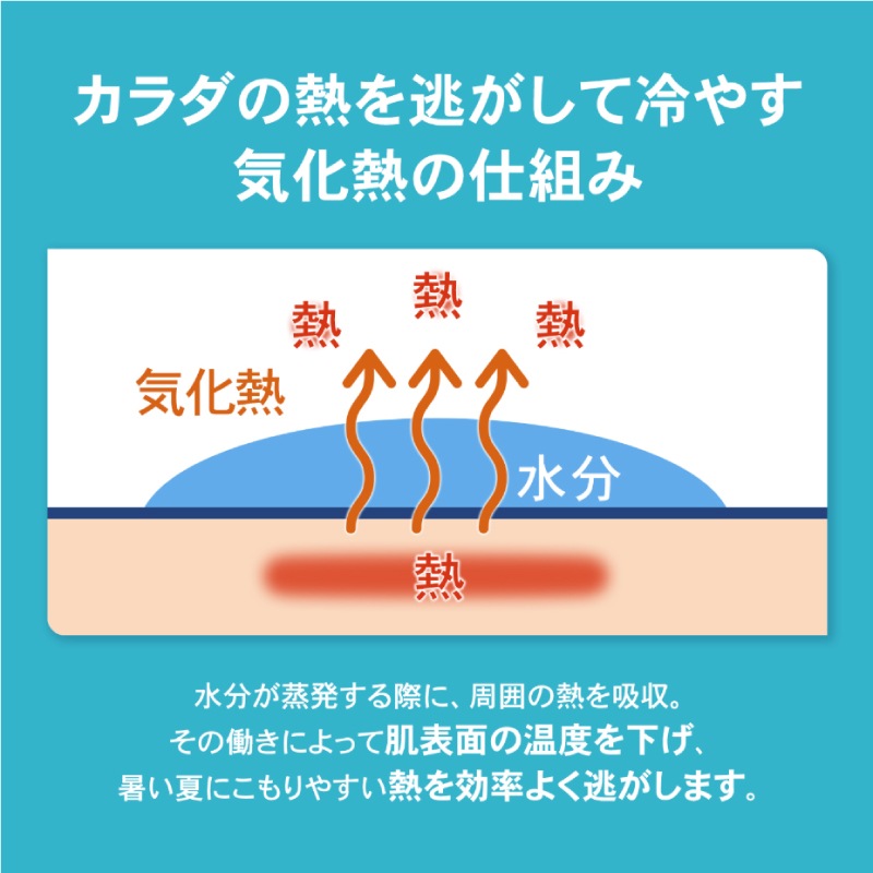 ZAMST/���ॹ�� �����륷����������389503���䴶�ݥ����