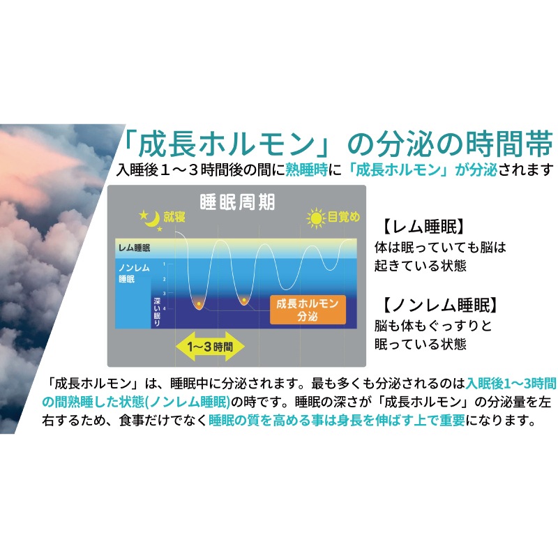 NOBITA/�Υӥ� ����˥������ץ��ƥ����FD0002��