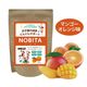 NOBITA/�Υӥ� ����˥������ץ��ƥ����FD0002��