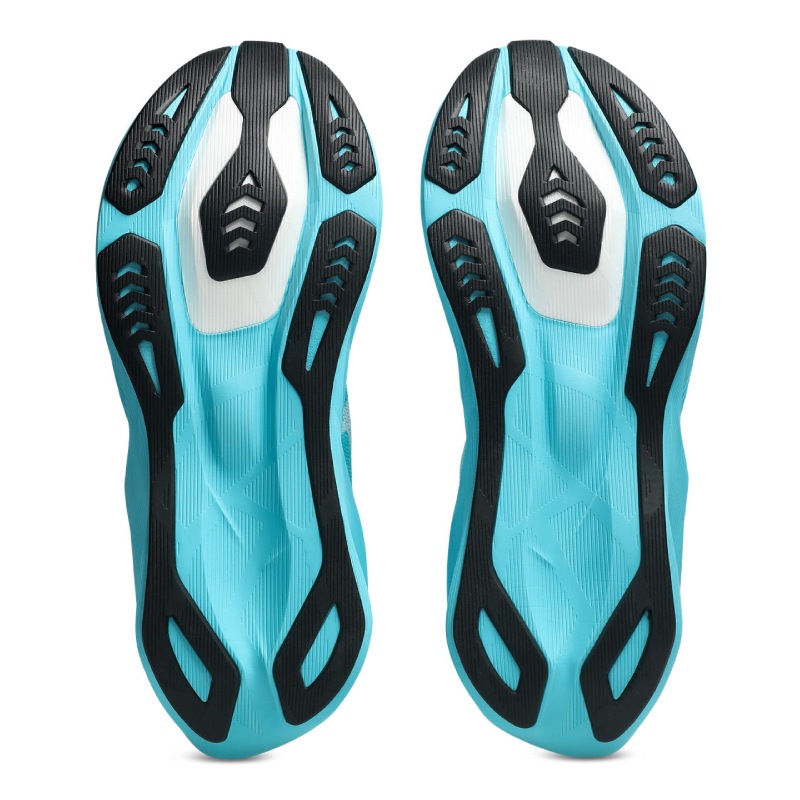asics/�����å��� �Υ����֥饹�� 6��1011C243-400��