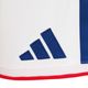 adidas/���ǥ����� 2026 ���å���������ɽ �ۡ��� ��ץꥫ ���硼�ġ�KLG75/JN1868��
