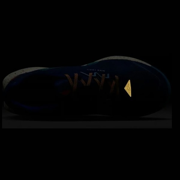 NIKE �ʥ��� ����˥ѡ� �ȥ쥤�� 3 ���˥󥰥��塼�� FQ0904-400(�ǥ����ץ������֥롼/�ե���ȥ�/�֥롼�ӥ���/��ʡ���/���åѡ��ࡼ��/�饤�ȥ���ॾ��) ��������ǯ��ǥ롪��