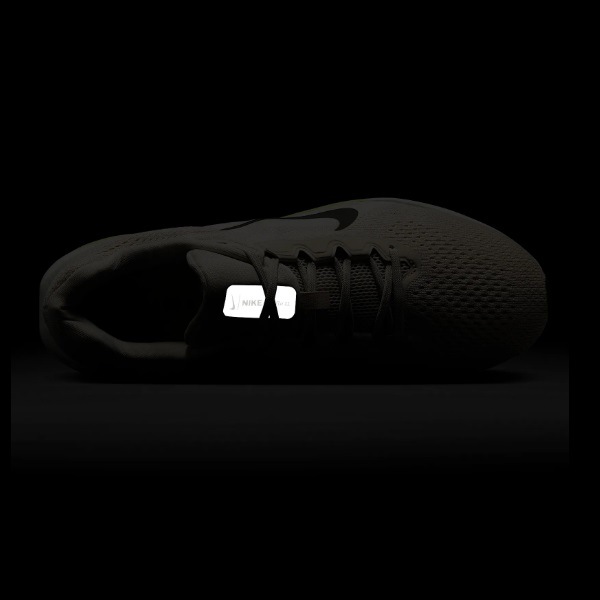 NIKE �ʥ��� ���� ������ե��� 11 ���˥󥰥��塼�� FJ9509-105(�饤�ȥ����륦�åɥ֥饦��/���ߥåȥۥ磻��/�饤�ȥ���ĥ�����/��������) ��������ǯ��ǥ롪��