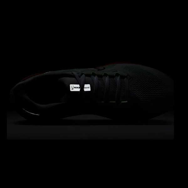 NIKE �ʥ��� ���� ������ �ڥ����� 41 ���˥󥰥��塼�� FD2722-115(�ۥ磻��/�٥��꡼���꡼��/�֥饤�ȥ���ॾ��/�᥿��å�����С�) 