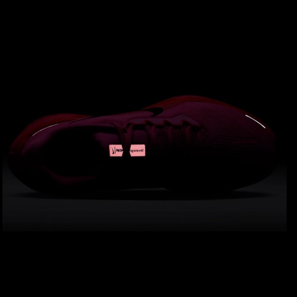 NIKE �ʥ��� ������� ���� ������ �ڥ����� 41 ��ǥ��������˥󥰥��塼�� FD2723-605(�ץ쥤�ե�ԥ�/�ϥ��ѡ��ԥ�/�֥饤�ȥ���ॾ��/���եΥ��) 