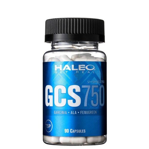 HALEO GCS750ʥϥ쥪 75090ץ