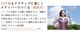 �ڥĥ����ȥ��ƥåѡ������ʡۥĥ����ȥ��ƥåѡ��饤�� ���Ĵ���ǽ �ϥ�ɥ��դ����åȤ��� SP-700 (30�����ֶ��ݾ�/5ǯ�־����ݾ�)