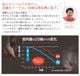 �ڥĥ����ȥ��ƥåѡ������ʡۥĥ����ȥ��ƥåѡ��饤�� ���Ĵ���ǽ �ϥ�ɥ��դ����åȤ��� SP-700 (30�����ֶ��ݾ�/5ǯ�־����ݾ�)