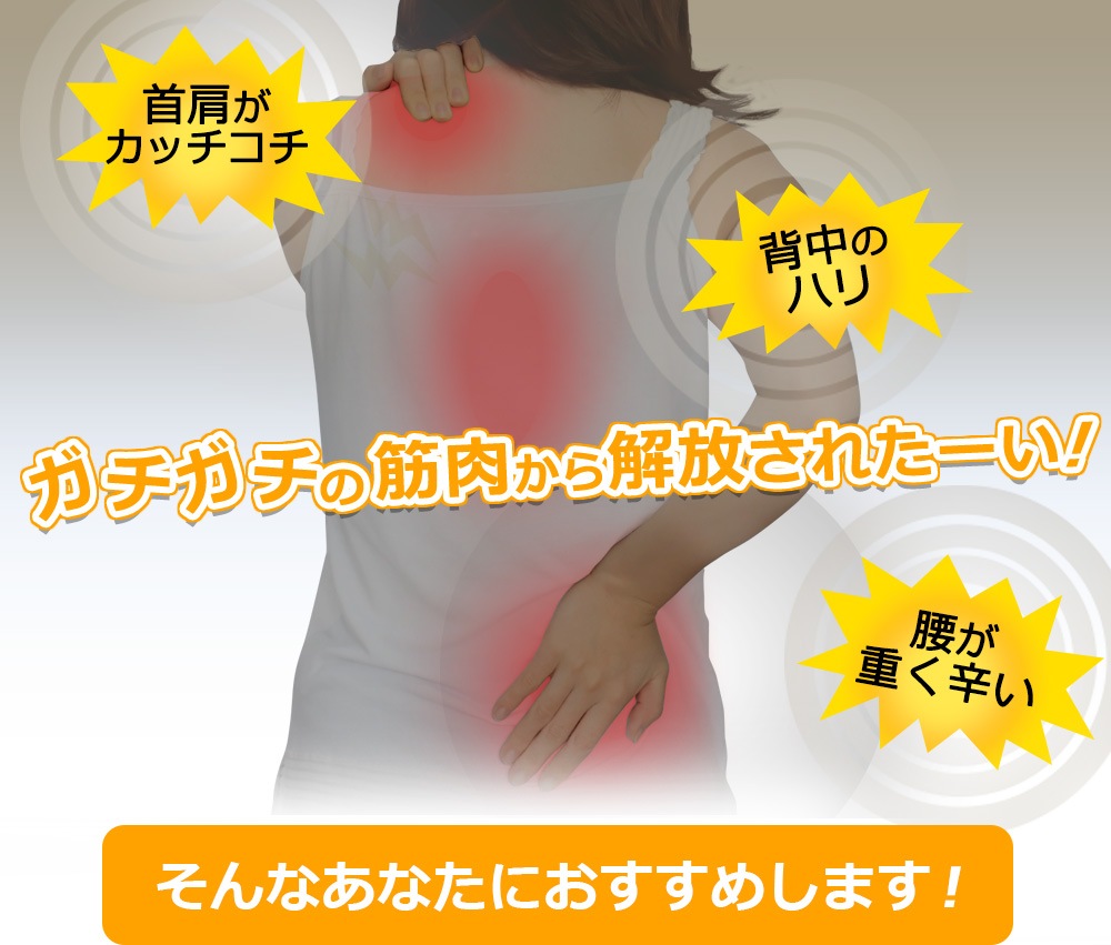 ���塼�ե��å���Pro