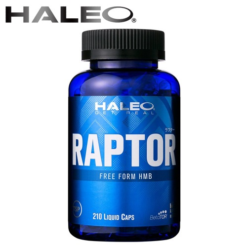 HALEO RAPTORʥץ210ץ