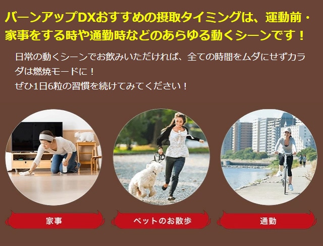 ͥ С󥢥åDX 45g250mg180γ