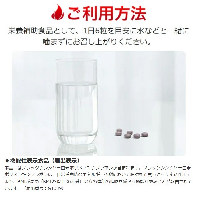 ルネサンス バーンアップDX 45g（250mg×180粒）